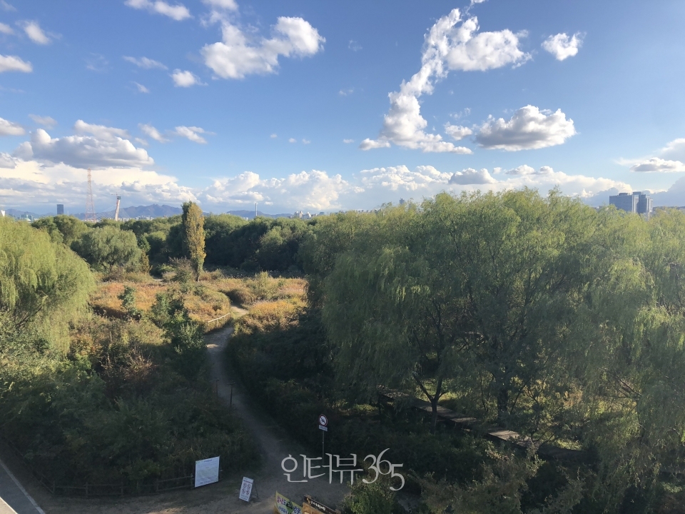 낭만과 캠핑을 동시에 즐기는 난지한강공원/사진=서울시