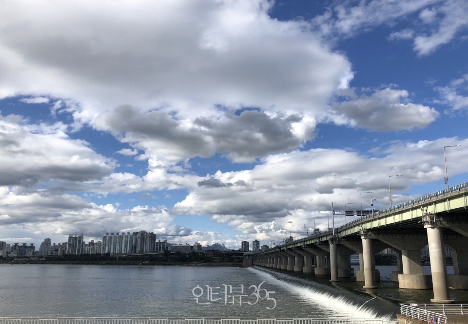 흐드러진 갈대와 아이들이 좋아할 물고기길 관찰이 가능한, 잠실 어도탐방길/사진=서울시