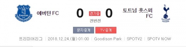 에버튼, 토트넘/사진=네이버