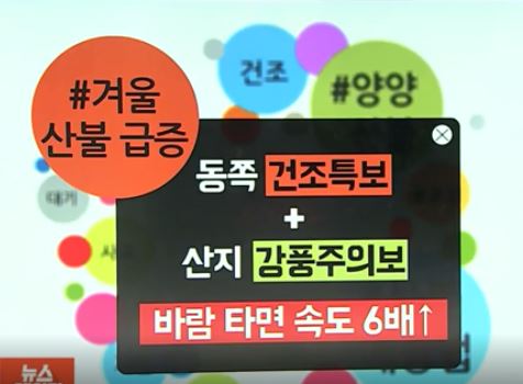 겨울철 산불 급증/사진=연합뉴스TV