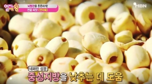 (사진=MBN)