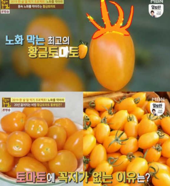 황금토마토/사진=MBN