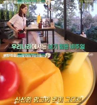 배틀 트립/사진=KBS