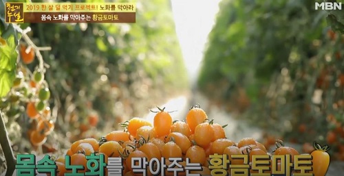 천기누설/사진=MBN