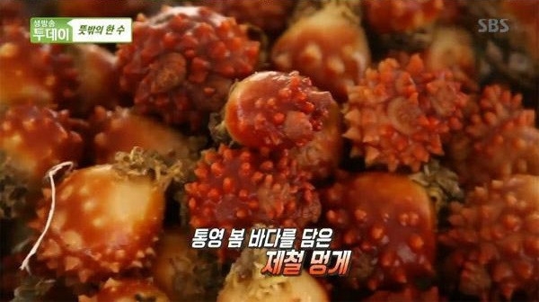 멍게/사진=방송화면