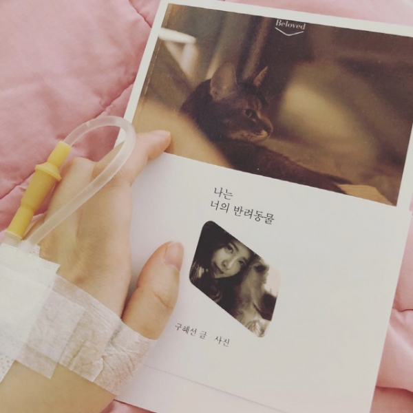 구혜선 근황/사진=구혜선 SNS