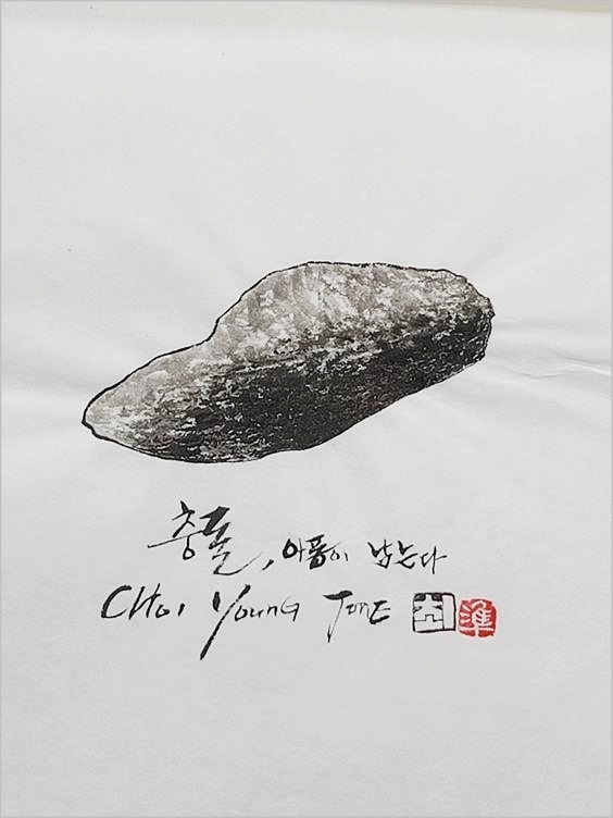 ⓒ최영준