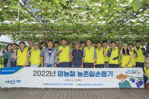NH농협금융지주 및 NH농협은행 임직원 봉사단은 23일, 경기도 수원시 소재 포도재배 농가를 찾아 일손돕기를 실시했다. NH농협금융지주 김용기 부사장(앞줄 왼쪽에서 일곱 번째)과 임직원들이 경기도 수원시 포도재배 농가를 방문한 뒤 기념촬영을 하고 있다.