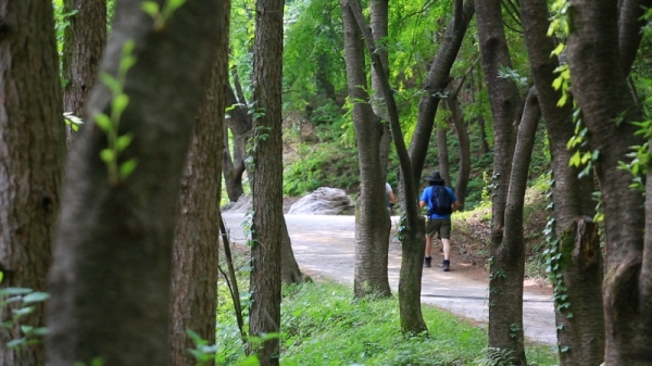 KBS '영상앨범 산'/사진=KBS