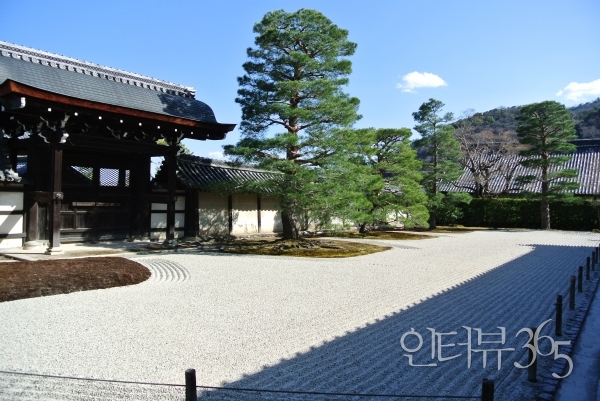 사진=장시정