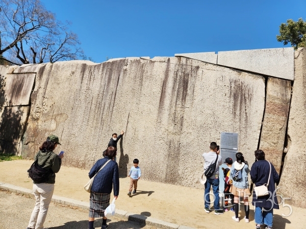 돌 하나가 130톤인 오테구치마스가타의 거석巨石, 다코이시(문어)돌 1620년 오사카 성 재건 시 오사카 서쪽 약 200km 떨어진 이누시마섬犬島에서 가져왔다.