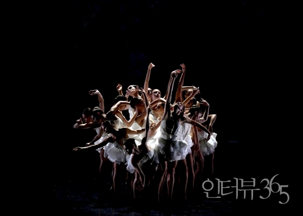 2023 '백조의 호수' 서울 공연 장면./사진=LG아트센터 서울