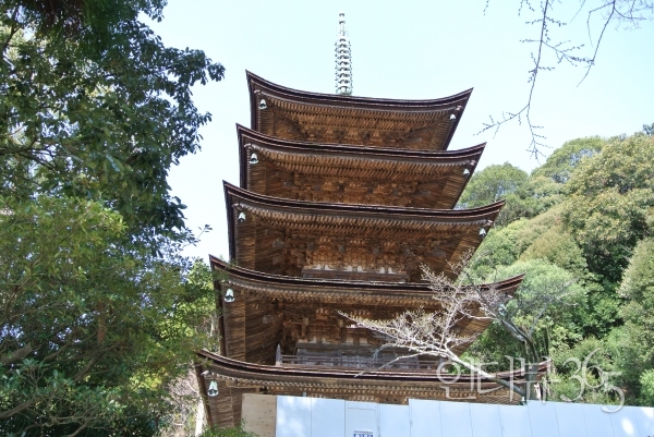 루리코지溜璃光寺 5층목탑, 지붕 처마의 조각이 매우 섬세하다.