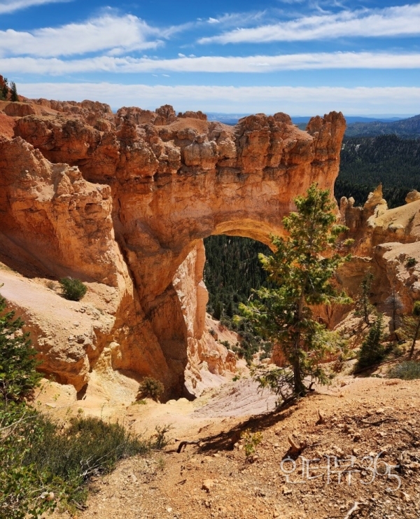 브라이스캐년, Natural Bridge