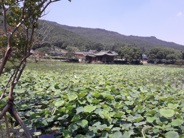 경주 서출지 전경