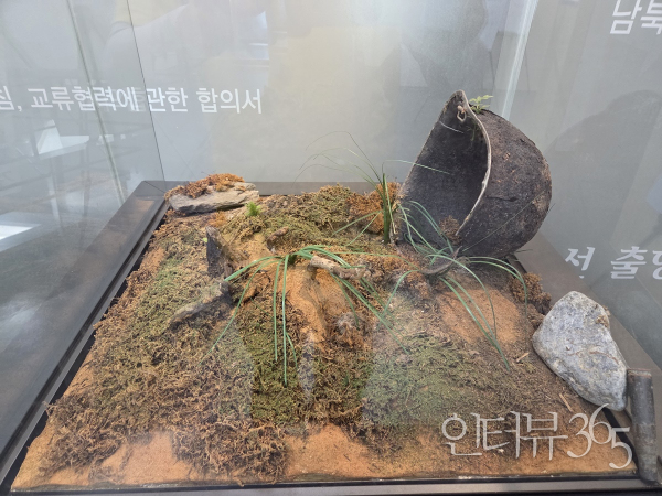 펀치볼 양구통일관에 전시된 녹슨 철모