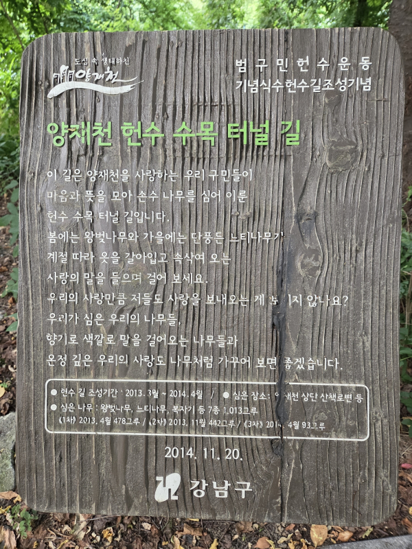 양재천 수목터널길 설명