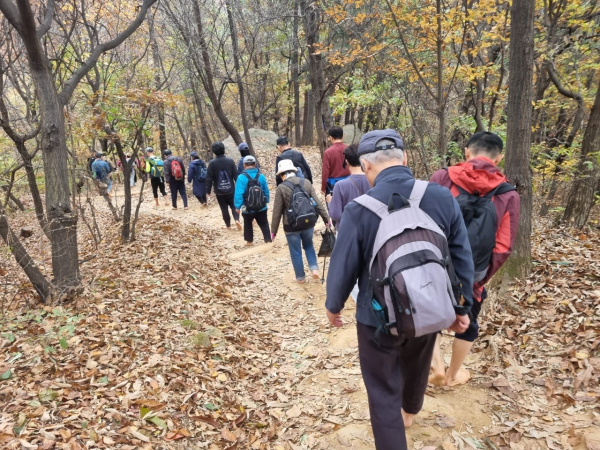 사진=맨발걷기국민운동본부 제공<br>