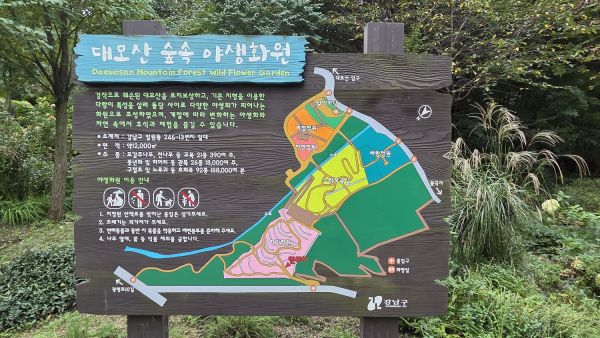 맨발걷기 대모산숲속야생화원
