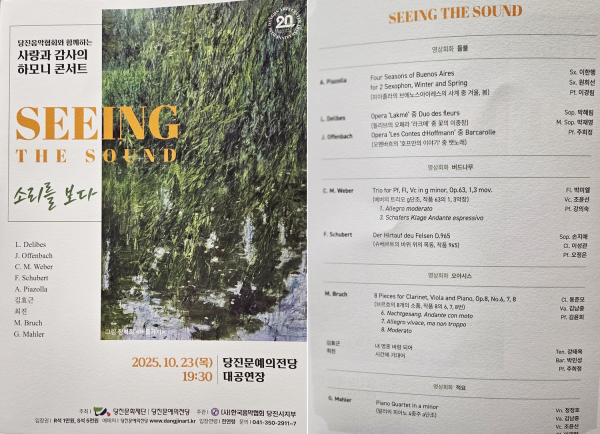 (사진 왼쪽부터) '당진소리를보다' 포스터, 공연 프로그램