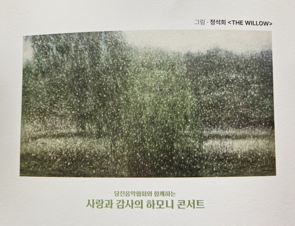 당진 정석희 버드나무