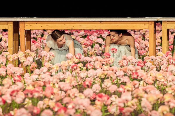 피나 바우쉬의 '카네이션' 공연 장면./ 사진=LG아트센터 서울, ⓒStudioAL