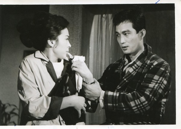김지미, 신성일