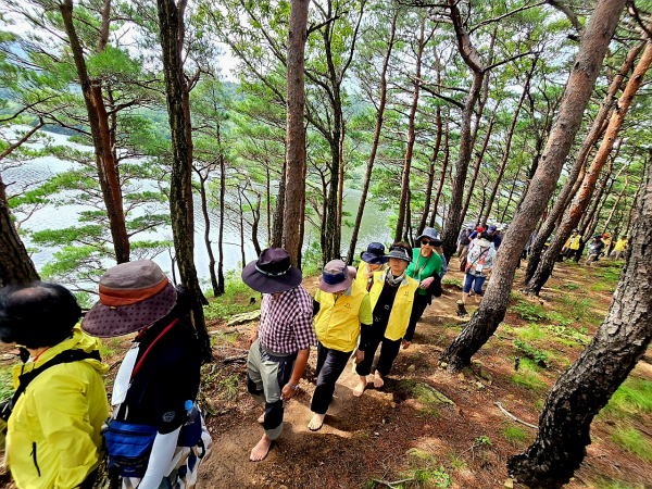 맨발로 걷는 모습./사진 제공=맨발걷기국민운동본부