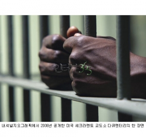 다큐천일야화