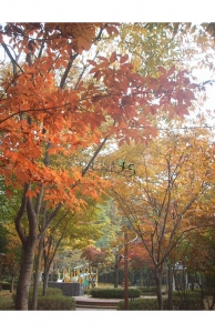 자연이 색칠한 아름다운 가을 그림